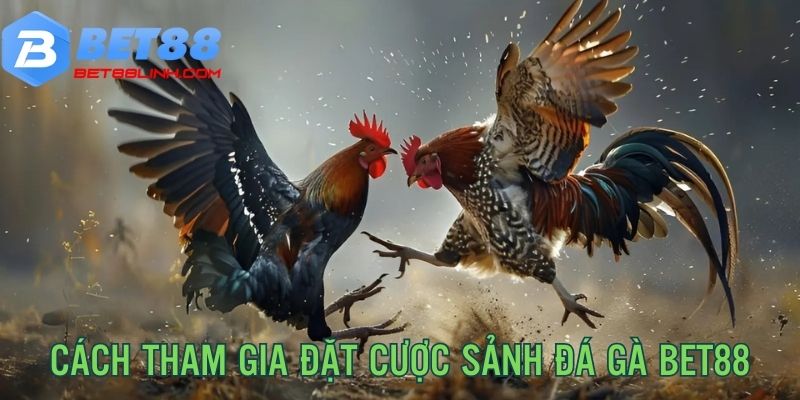 Cách tham gia sảnh cược bằng link vào Bet88