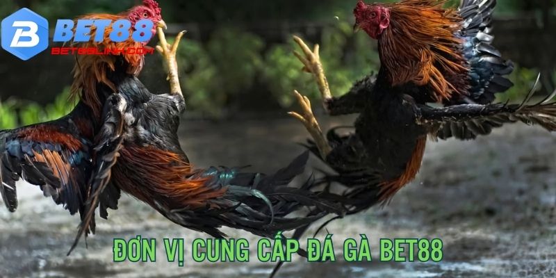 Khám phá đơn vị cung cấp trận chiến trên sảnh game Bet88