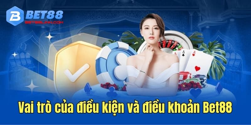 Tìm hiểu thông tin khái quát về vai trò điều khoản