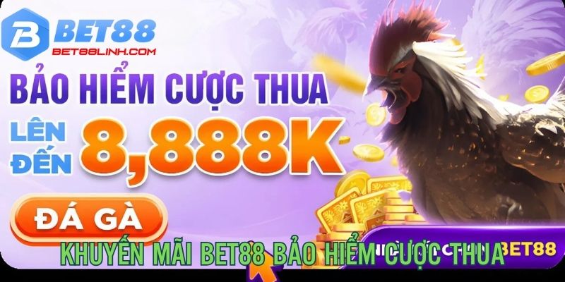 Chương trình khuyến mãi cược thua sảnh đá gà tới 8,888K