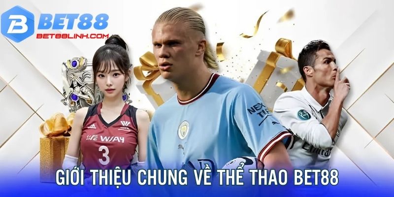 Giới thiệu chung về sảnh thể thao bet88